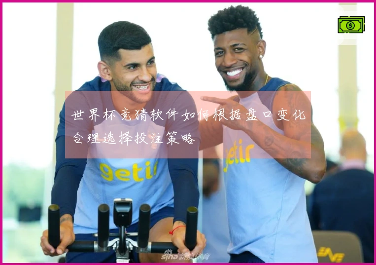 世界杯竞猜软件如何根据盘口变化合理选择投注策略
