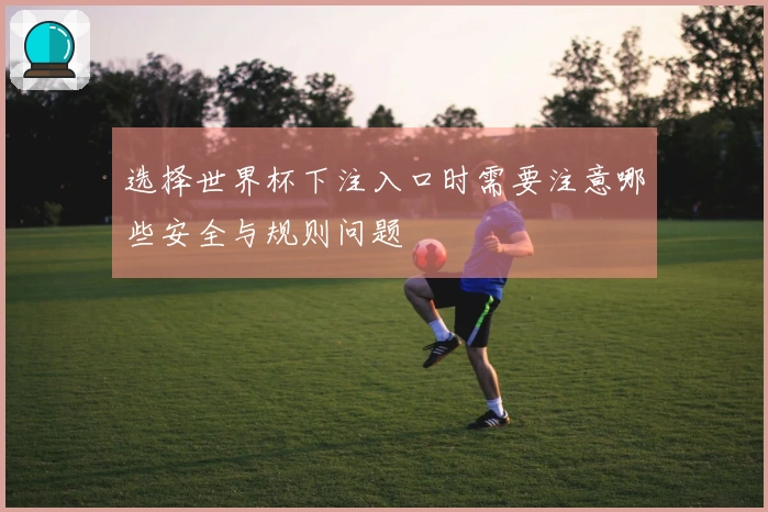 选择世界杯下注入口时需要注意哪些安全与规则问题