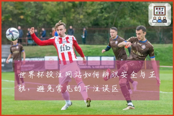 世界杯投注网站如何辨识安全与正轨，避免常见的下注误区