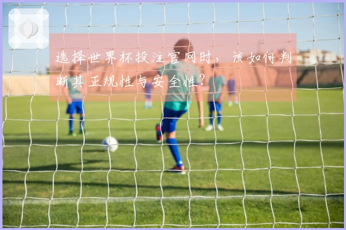 选择世界杯投注官网时，该如何判断其正规性与安全性？