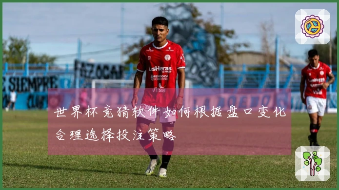世界杯竞猜软件如何根据盘口变化合理选择投注策略