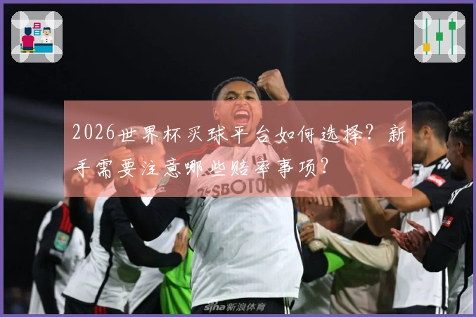 2026世界杯买球平台如何选择？新手需要注意哪些赔率事项？