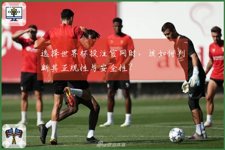 选择世界杯投注官网时，该如何判断其正规性与安全性？